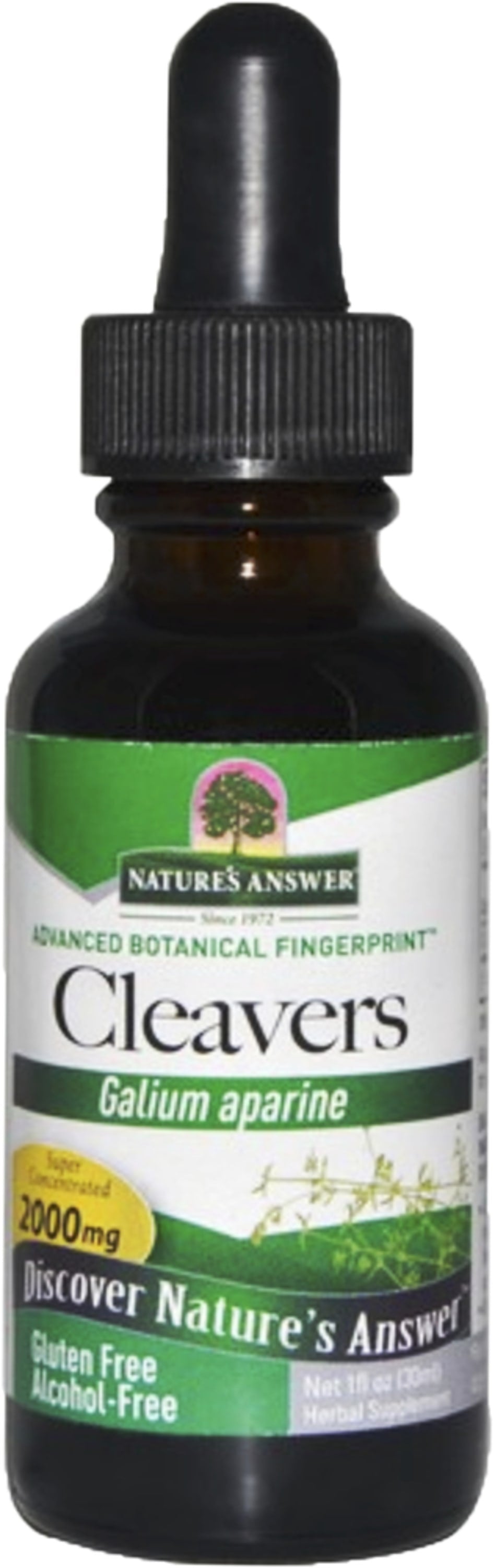 Cleavers Liquid Extract  Alcohol Free, 1 fl oz (30 mL) Dropper Bottle