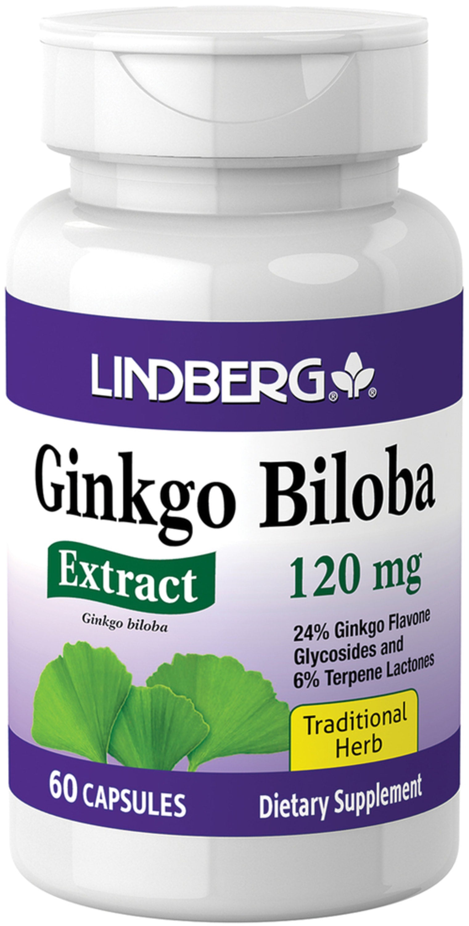 Ginkgo Biloba Standardized Extract, 120 mg, 60 Capsules