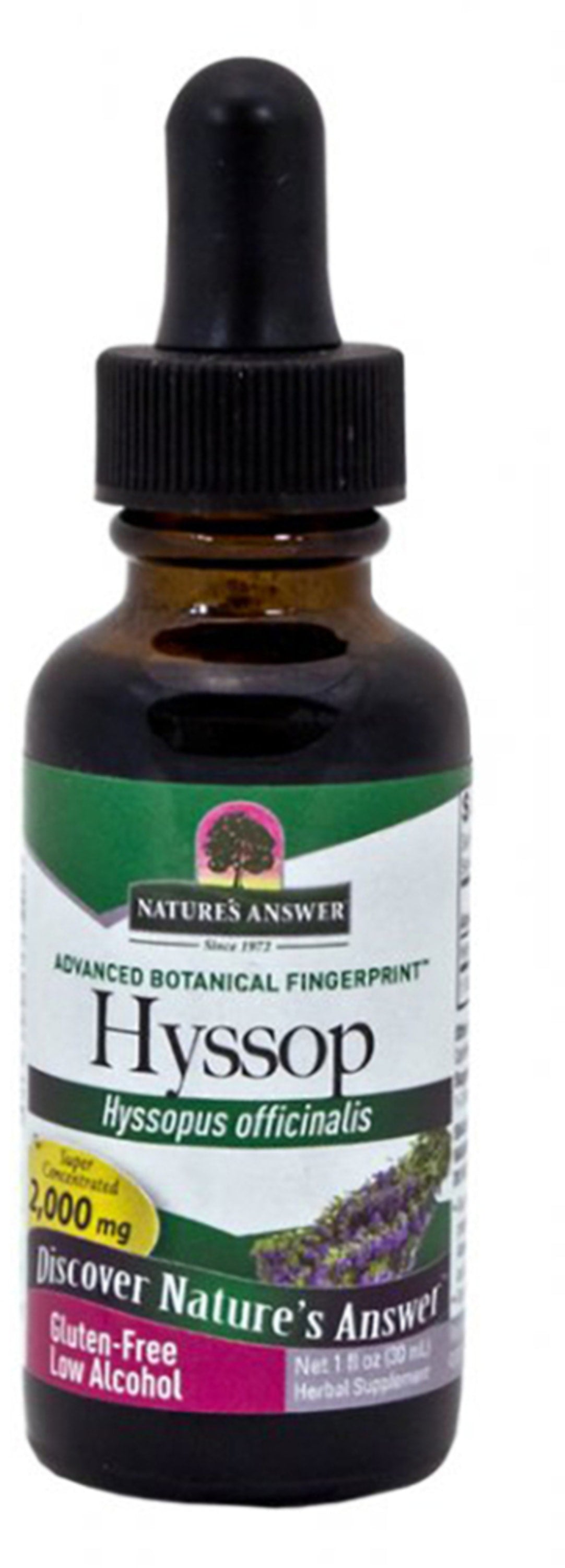 Hyssop Liquid Extract, 1 fl oz (30 mL) Dropper Bottle